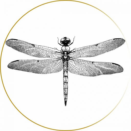 Li(e)belle mit goldenem Kreis