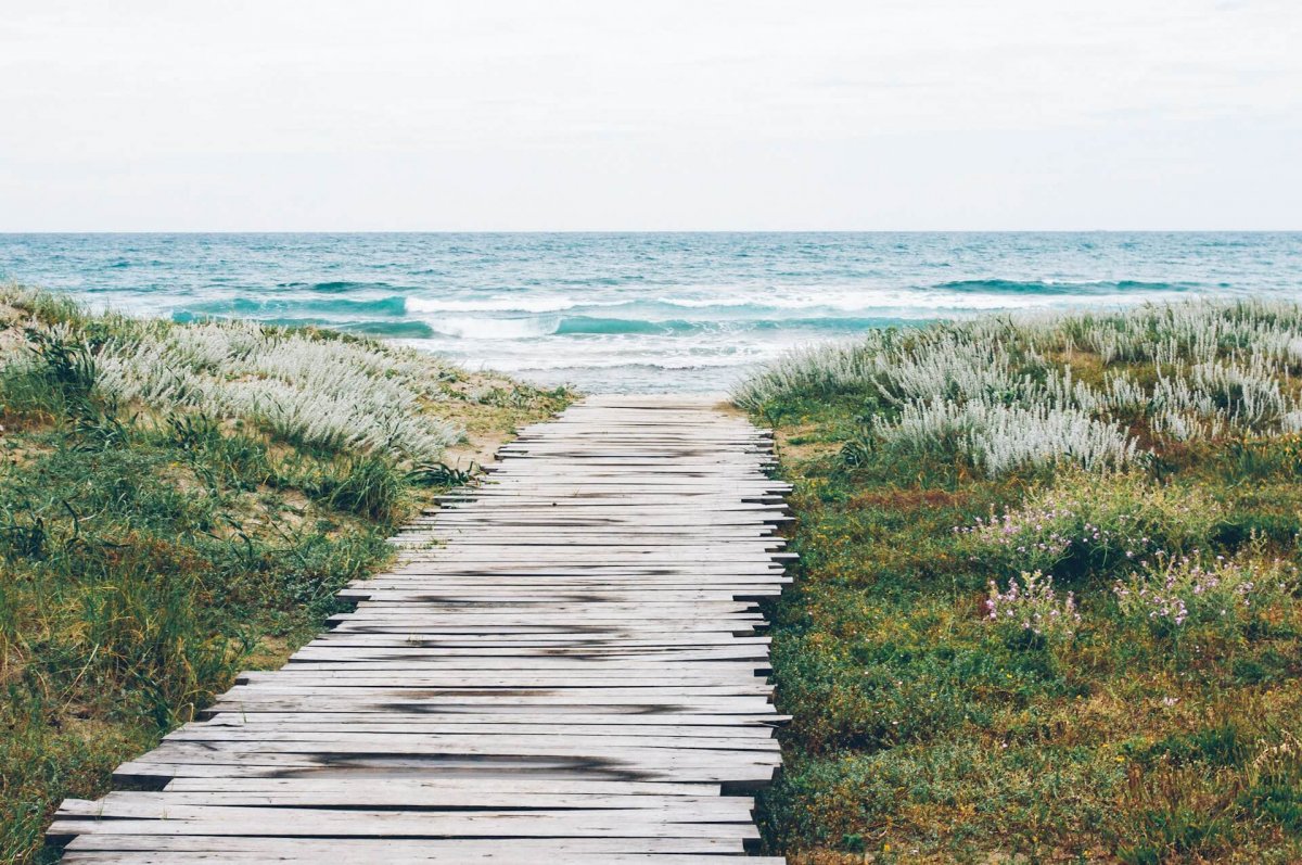 Meditationsszene – Li(e)bellentraining